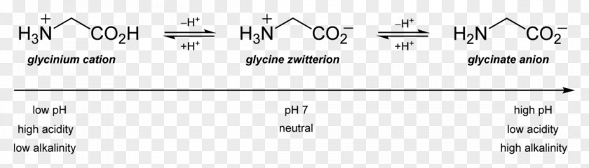 Glycine Propionyllcarnitine Isoelectric Point Amino Acid Alanine PNG