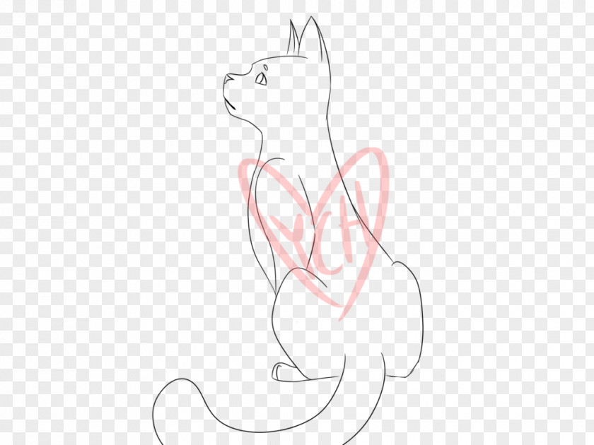 Looking At The Stars Whiskers Kitten Cat Line Art Sketch PNG
