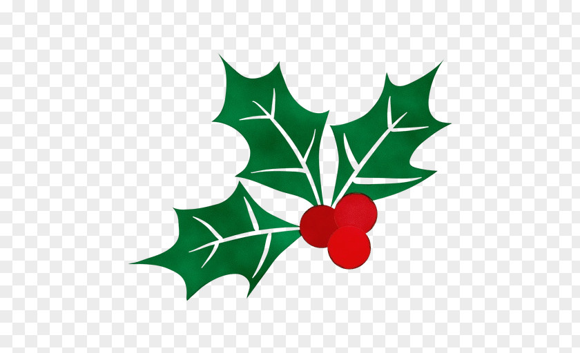 Plane American Holly PNG