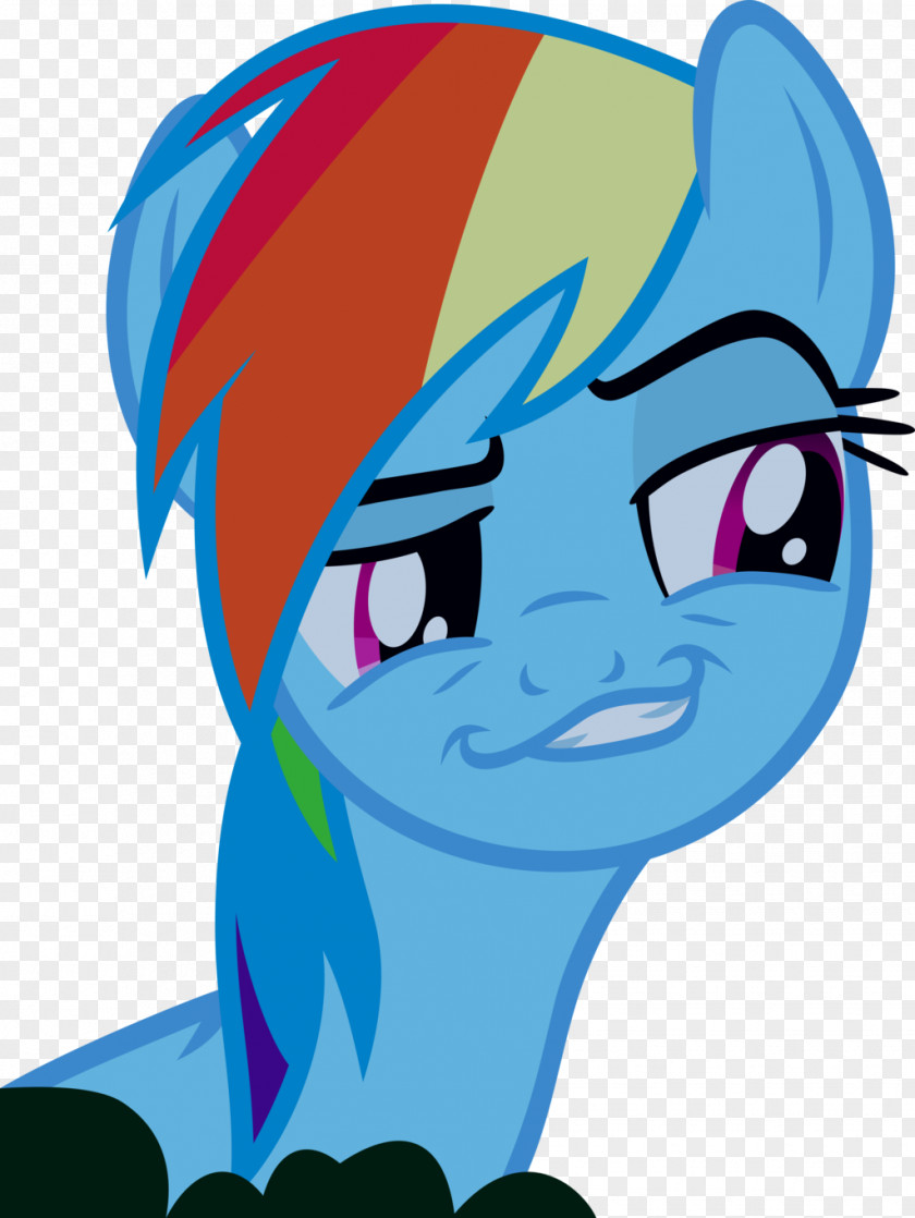 Rainbow Dash Pinkie Pie Rarity Twilight Sparkle Applejack PNG