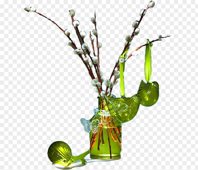 Vase Plant Stem PNG