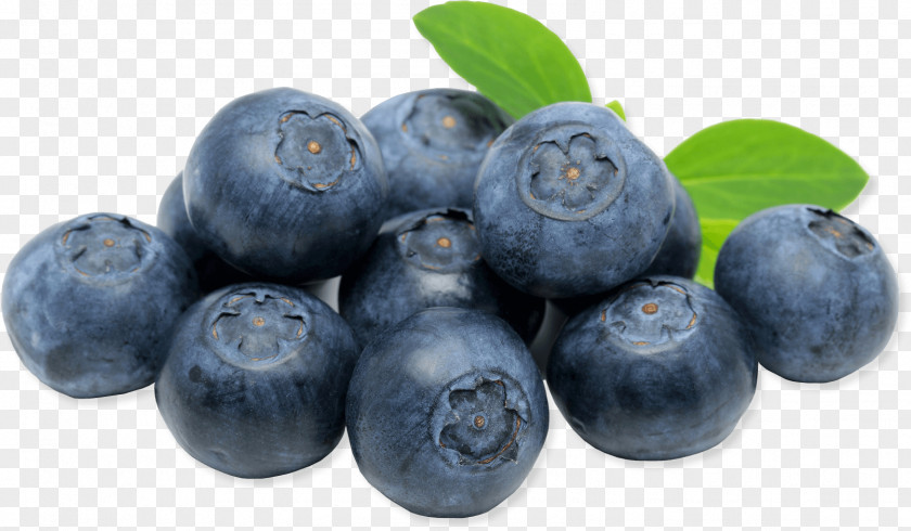 Blueberries Juice European Blueberry Fruit PNG