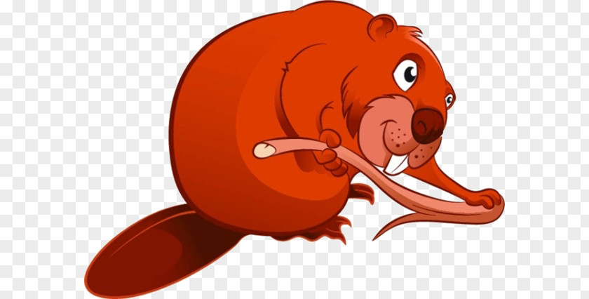 Cartoon Squirrel Material Beaver Rodent PNG
