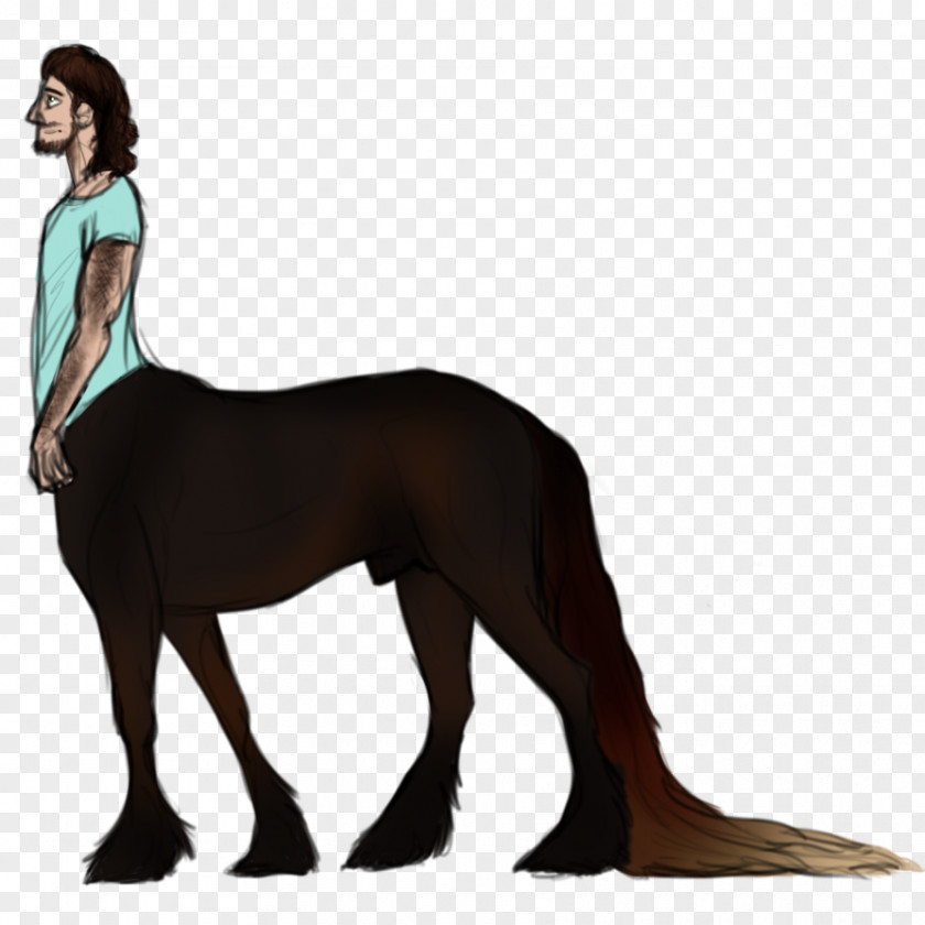 Dog Mustang Digital Art Friesian Horse PNG