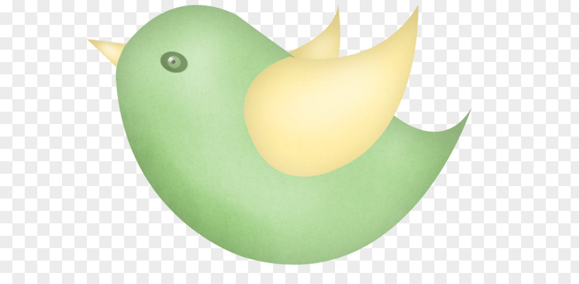Green Birds Bird Download PNG