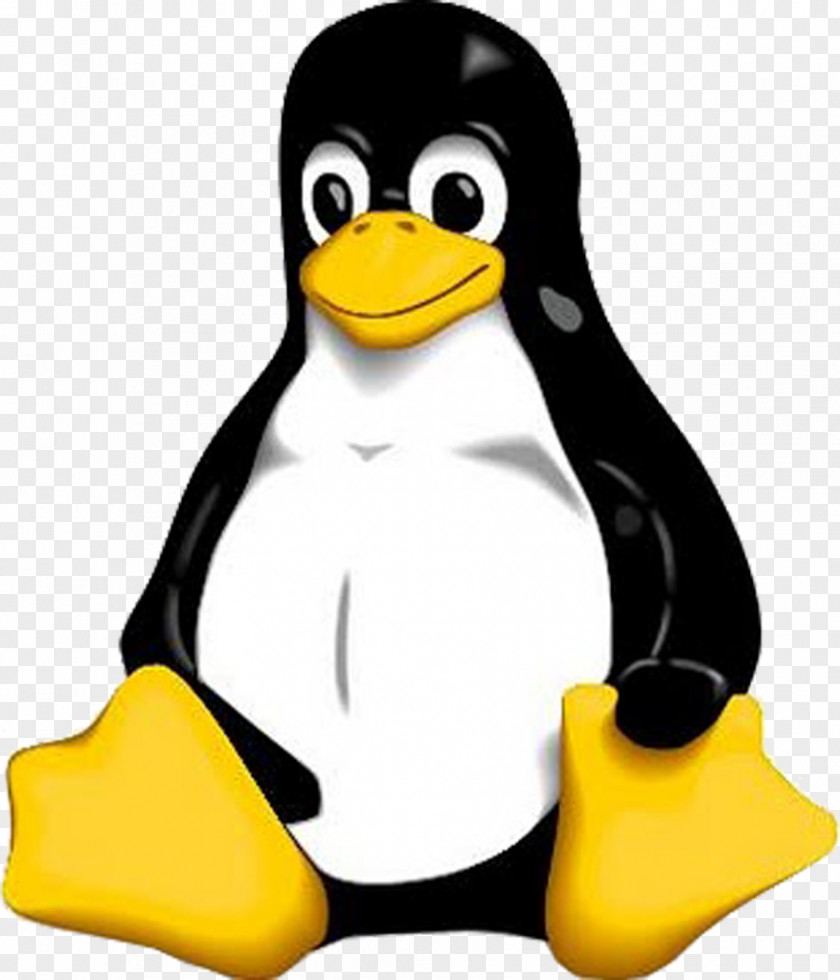 Linux GNU/Linux Naming Controversy Tux PNG