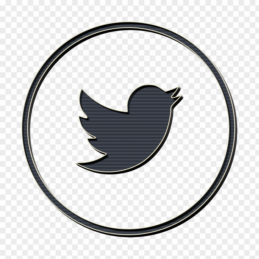 Perching Bird Raven Social Media Logo PNG