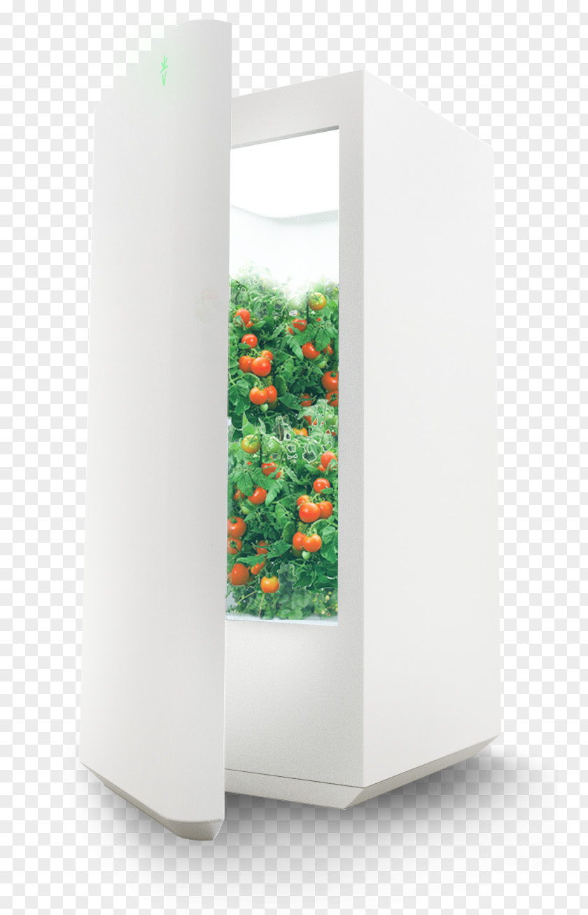 Plants For Hot Humid Weather Refrigerator Hydroponics Garden Vegetable Flowerpot PNG
