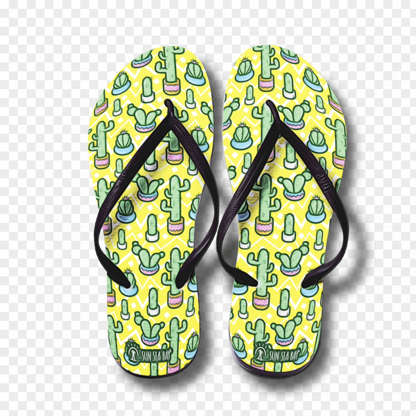 Sandal Slipper Beach Background PNG