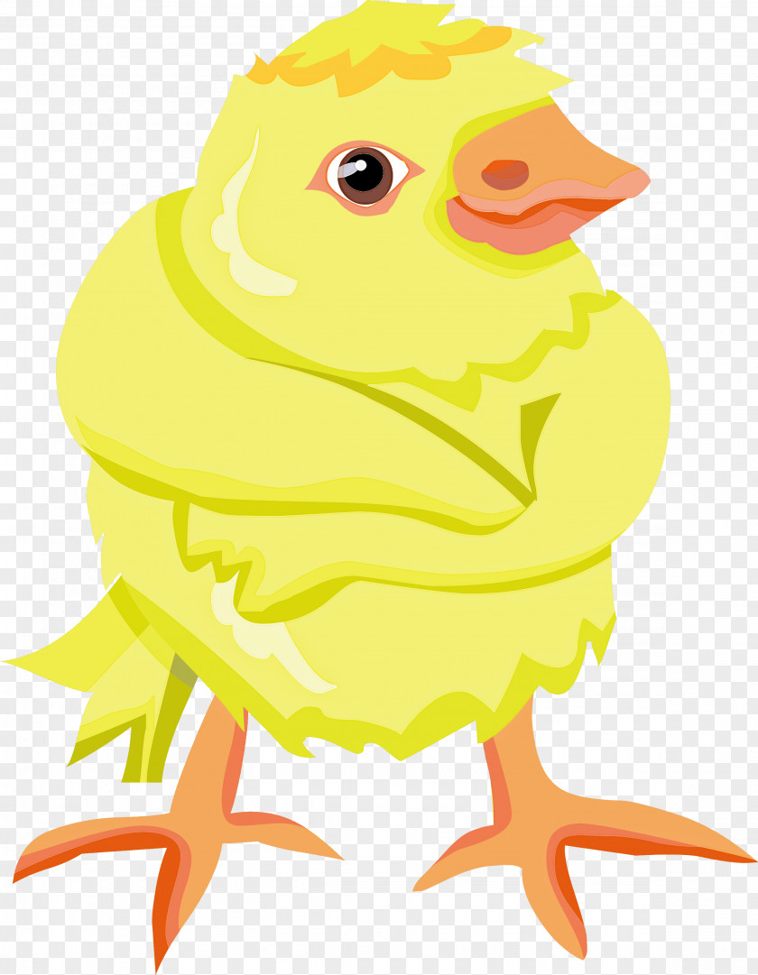 Baby Chicken PNG