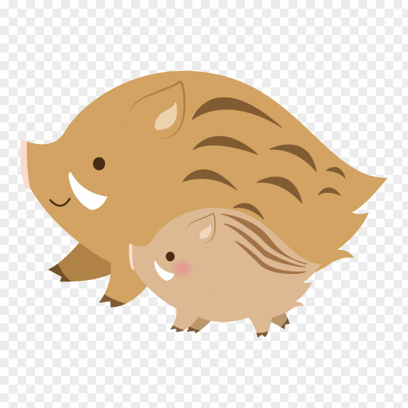 Cat Wild Boar Whiskers Illustration Image Bear PNG