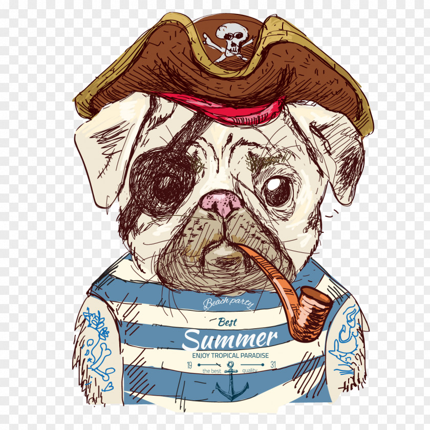 Cute Pirate Dog Pug Drawing Illustration PNG