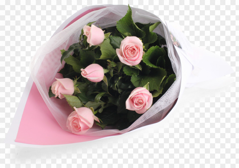 Rose Garden Roses Flower Bouquet Pink Cut Flowers PNG
