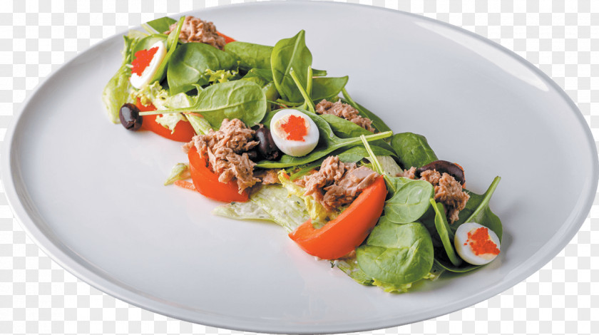 Salad Greek Caesar Tuna Spinach Leaf Vegetable PNG