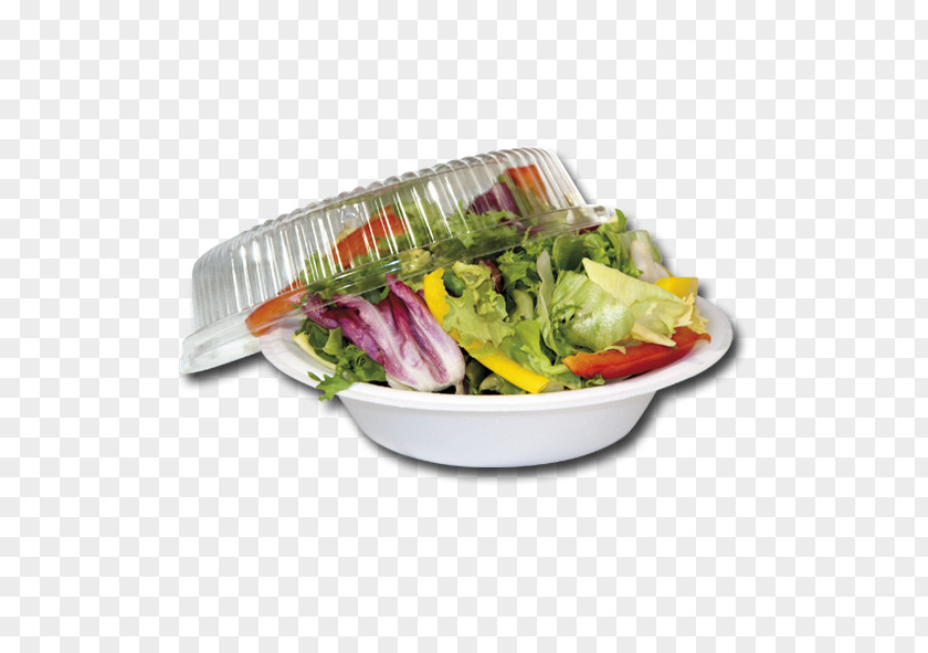 Salad Vegetarian Cuisine Recipe Leaf Vegetable Garnish PNG