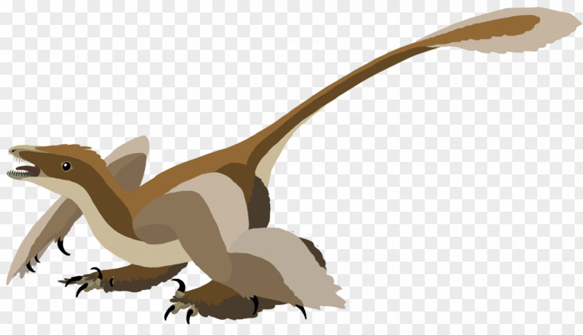 Dinosaur Velociraptor Sinornithosaurus Theropods Dromaeosaurids PNG