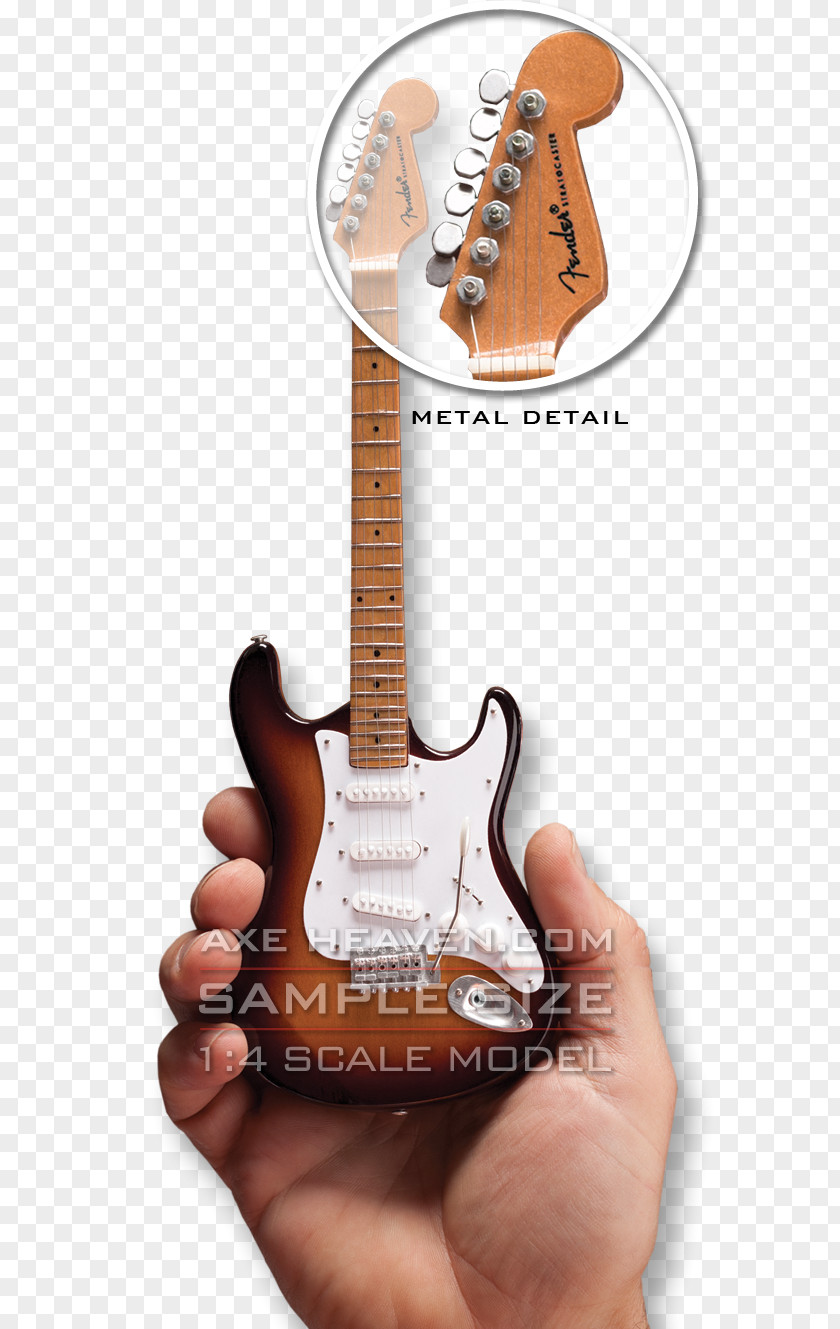 Electric Guitar Fender Stratocaster Acoustic Musician PNG