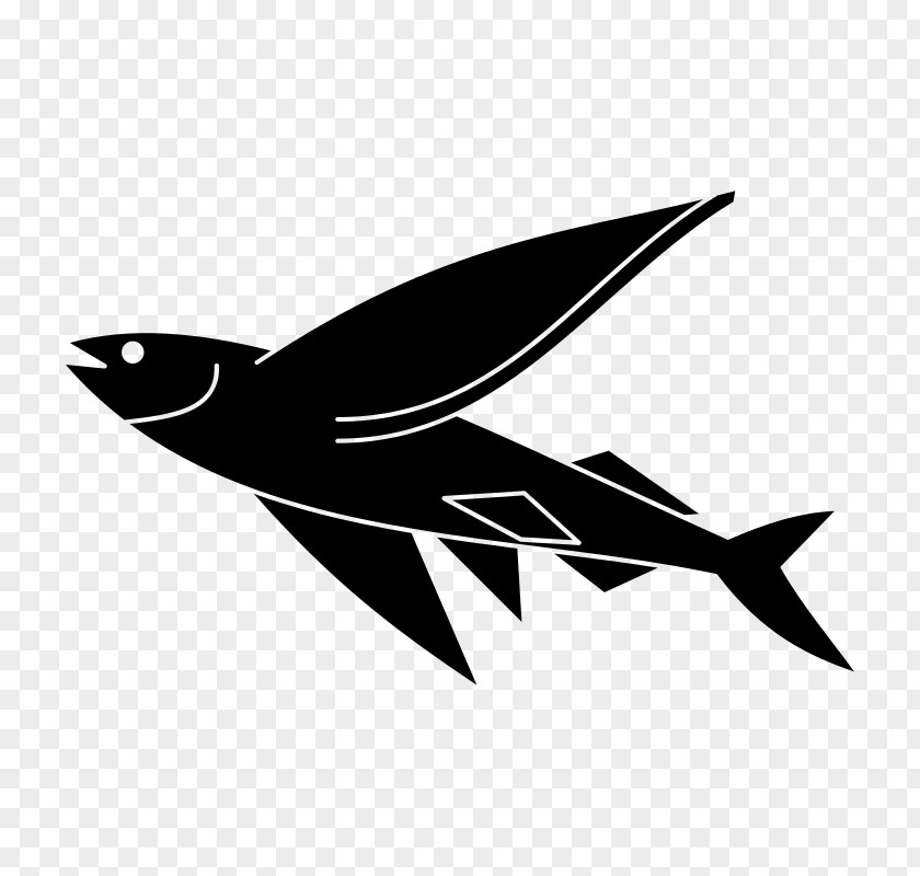 Flying Fish Drawing Clip Art PNG