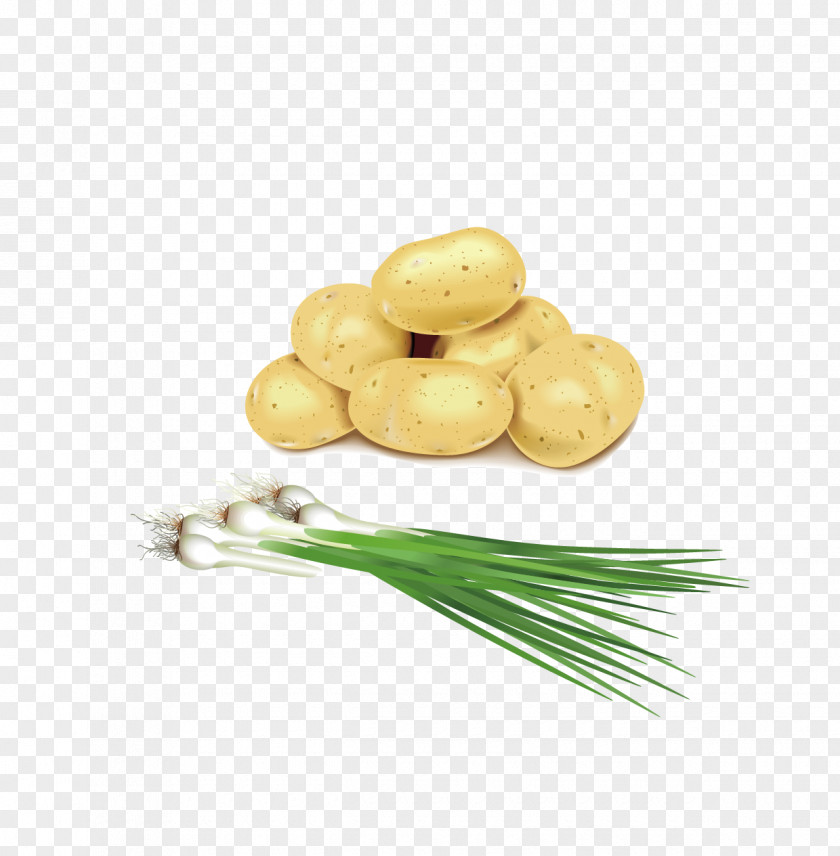 Garlic And Potatoes Vector Material Potato PNG