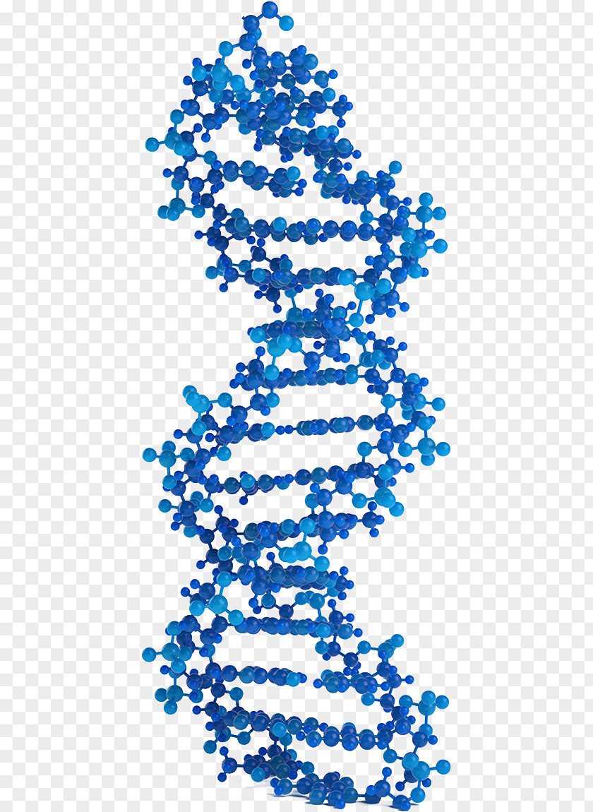 Genomic Dna Molecular Models Of DNA Genetics Virus Nucleic Acid Double Helix PNG