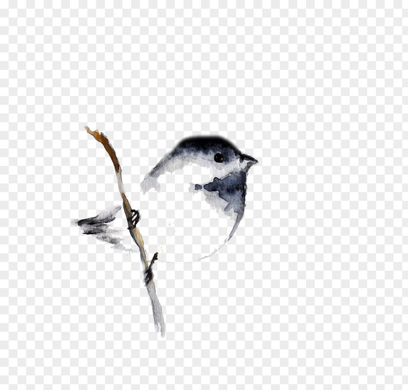 Gray Sparrow Bird Watercolor Painting Tattoo Drawing PNG