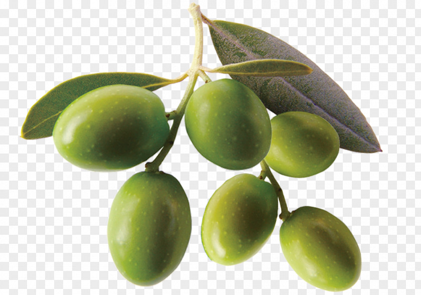 Green Olive Fruit Material Composition Mediterranean Cuisine Greek Kalamata Hotel Villa San Giuseppe Oil PNG