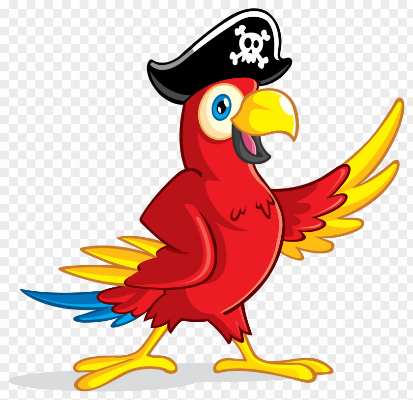 Pirate Parrot Transparent Image Clip Art PNG