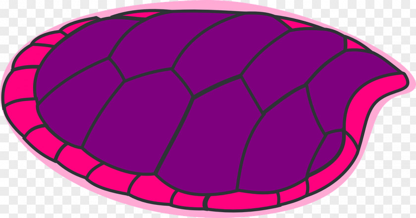 Turtle Headgear Pattern PNG