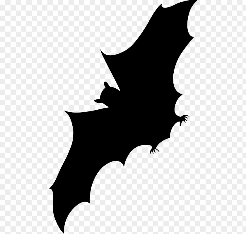 Bat Silhouette Clip Art PNG