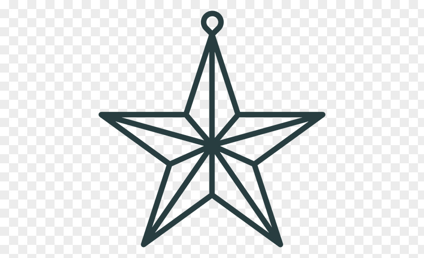 Estrela Do Mar Simetria Radial Symmetry Definition Information PNG