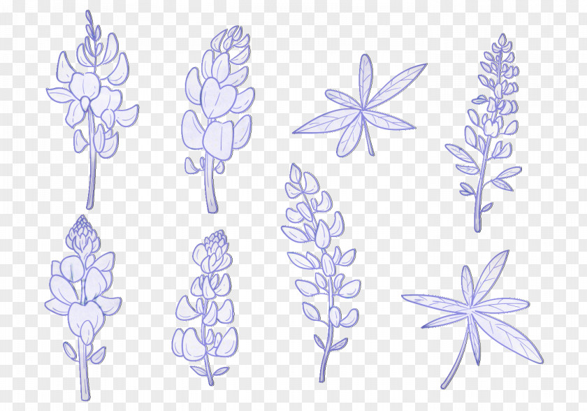 Petal Symmetry Pattern Product Flowering Plant PNG