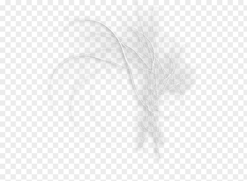 White Wire Grass Black Angle Pattern PNG