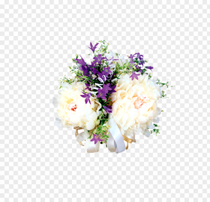 Floral Elements Flower Download Computer File PNG