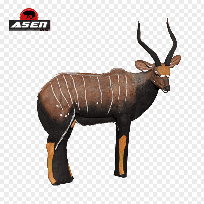 Funny Archery Shirts Antelope Horn Nyala Animal PNG