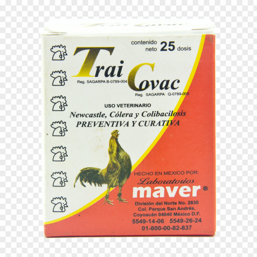 Trai Newcastle Disease Vaccine Medicine Preventive Healthcare PNG