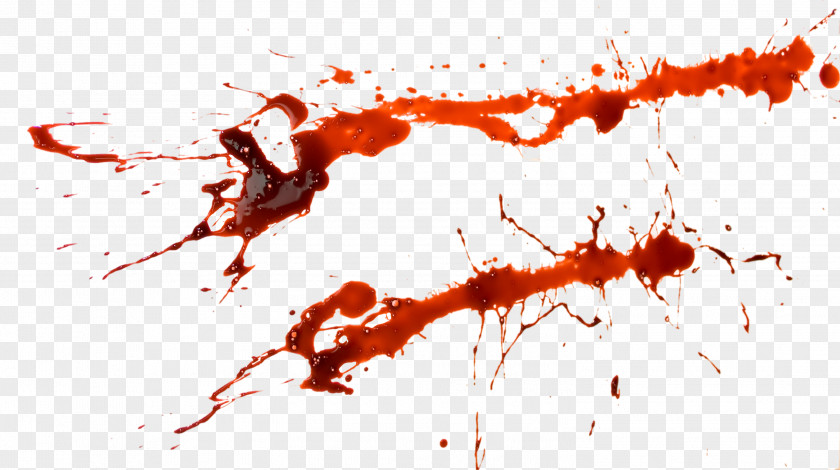 Blood Image IPhone 4S 5s PNG