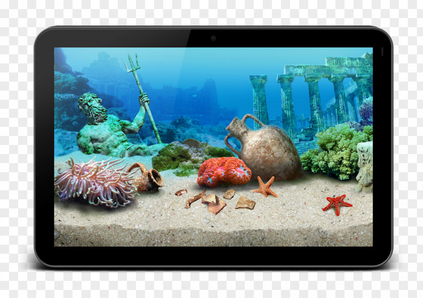 Coral Reef Fish Aquariums Ecosystem Marine Biology PNG