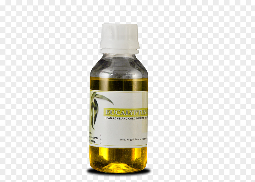 Eucalyptus Nilgiri Mountains Tea Oil Centre Tasmanian Blue Gum PNG