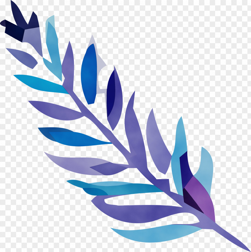 Feather PNG