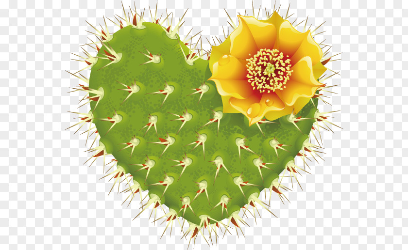 Heart-shaped Cactus Barbary Fig Cactaceae Thorns, Spines, And Prickles Heart PNG