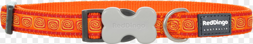 Red Collar Dog Dingo Puppy PNG