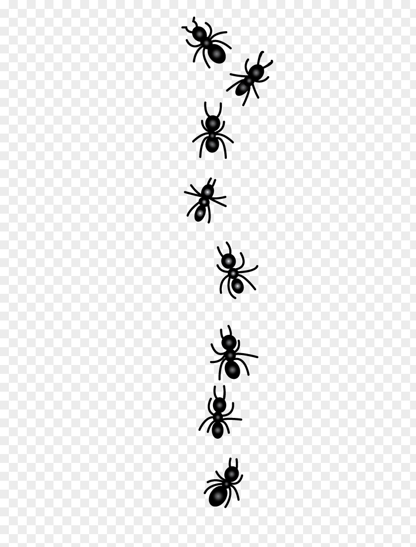 Ant Ears Clip Art Vector Graphics Insect PNG
