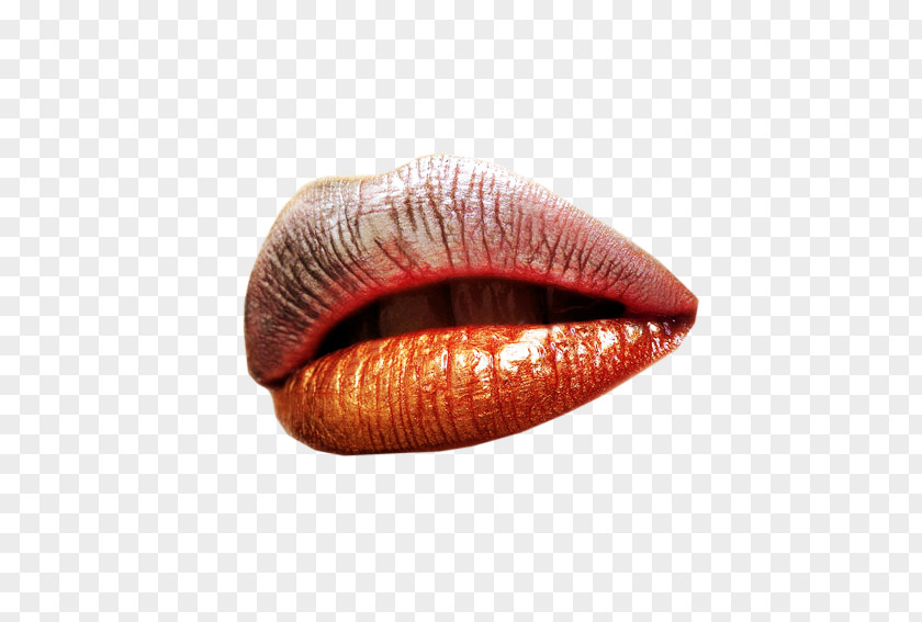 Bitter Brown Lips Lip Clip Art PNG