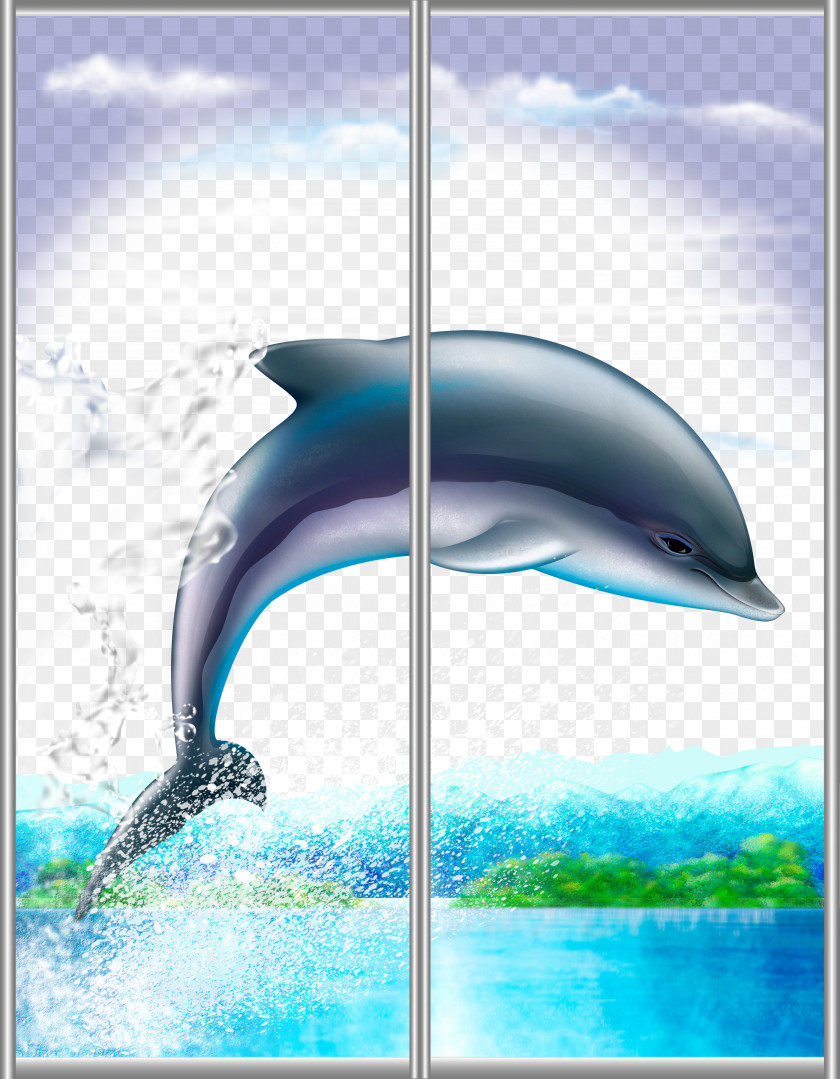 Cartoon Dolphins Drawing Dolphin PNG