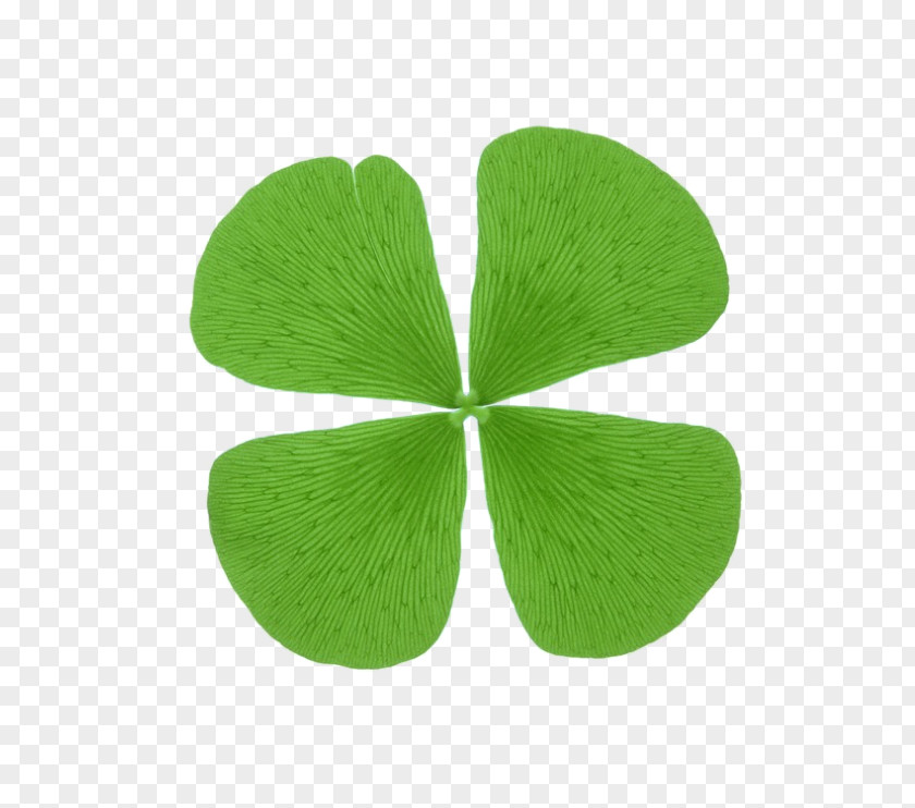 Clover Creative Creativity Shamrock PNG