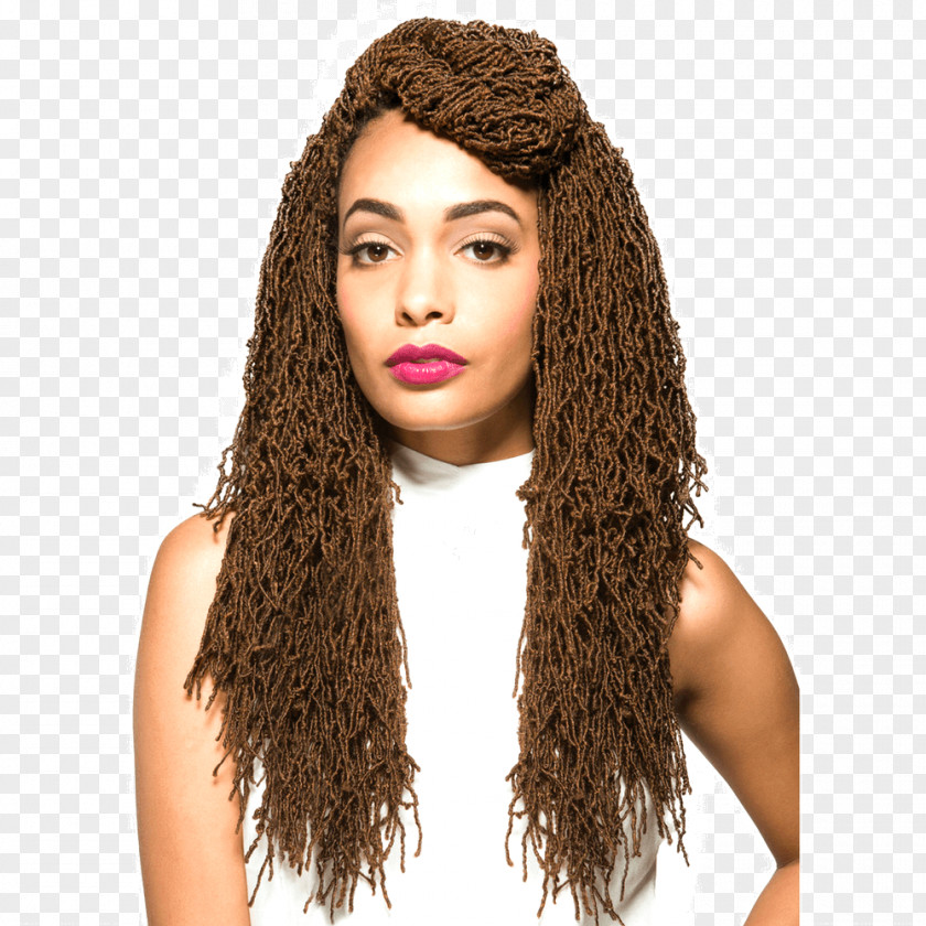 Hair Crochet Braids Long Hook PNG