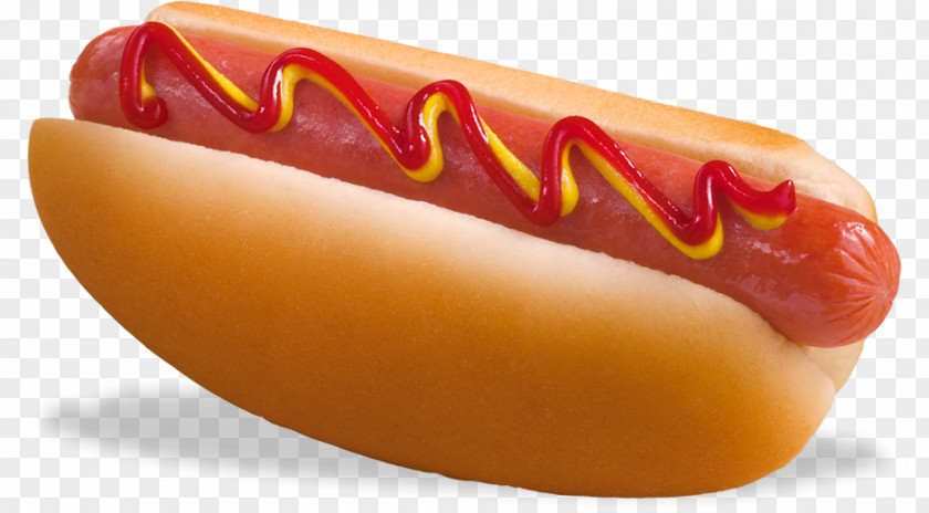 Hot Dog Image Hamburger Wrap Cheese Chili PNG