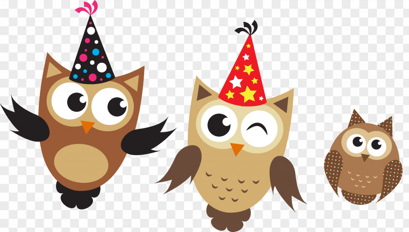 Owl Little Birthday Euclidean Vector PNG