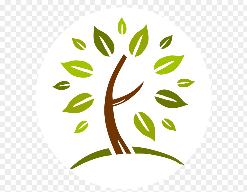 Plant Stem Branch Green Day Logo PNG