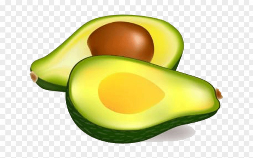 Avocado Fruit Food Clip Art PNG